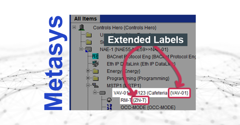 Metasys Standard Labels vs Extended Labels – What’s the Difference?